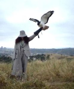 Extrawea.shop59353091fc 2